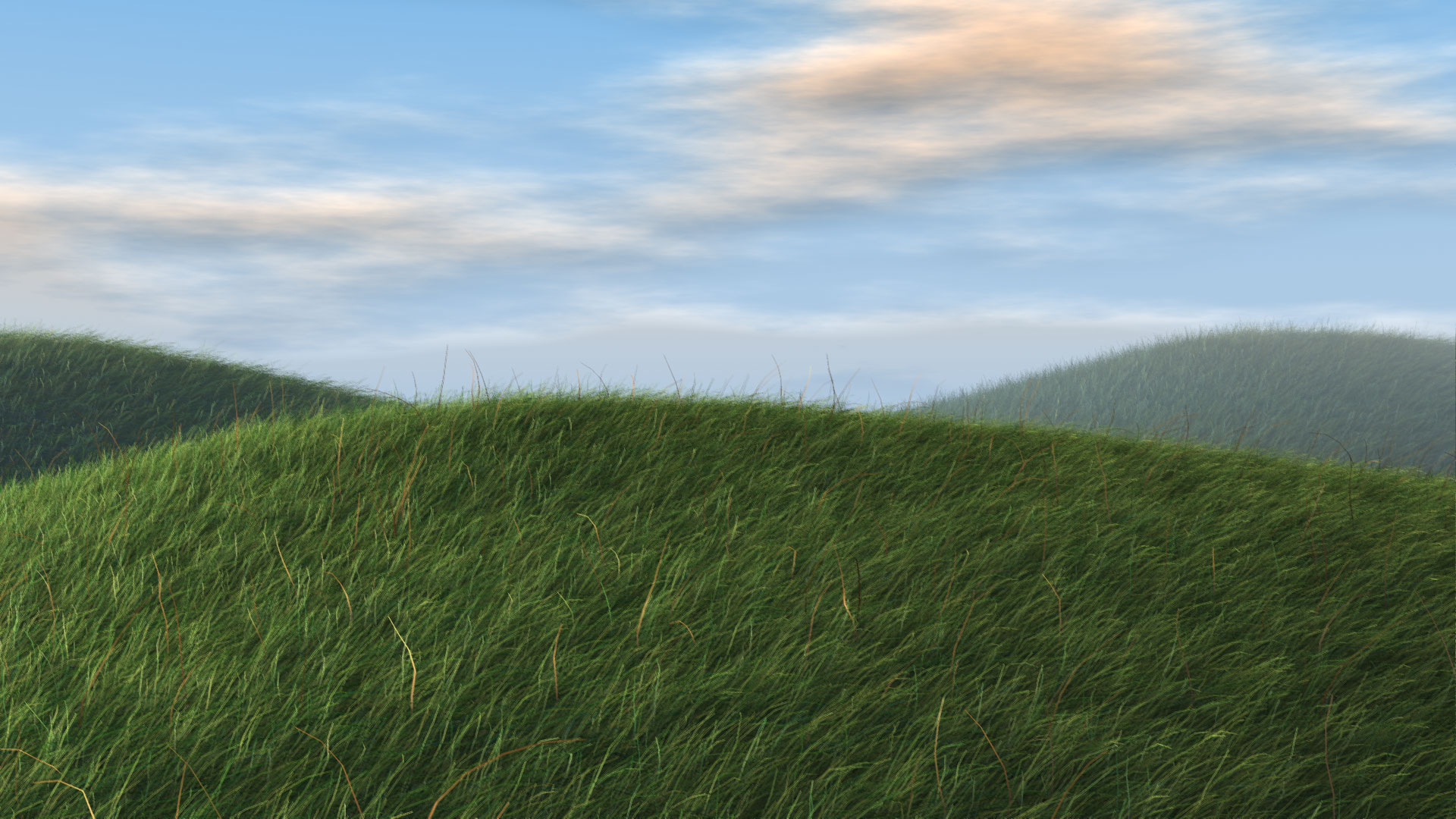 Hill Grass